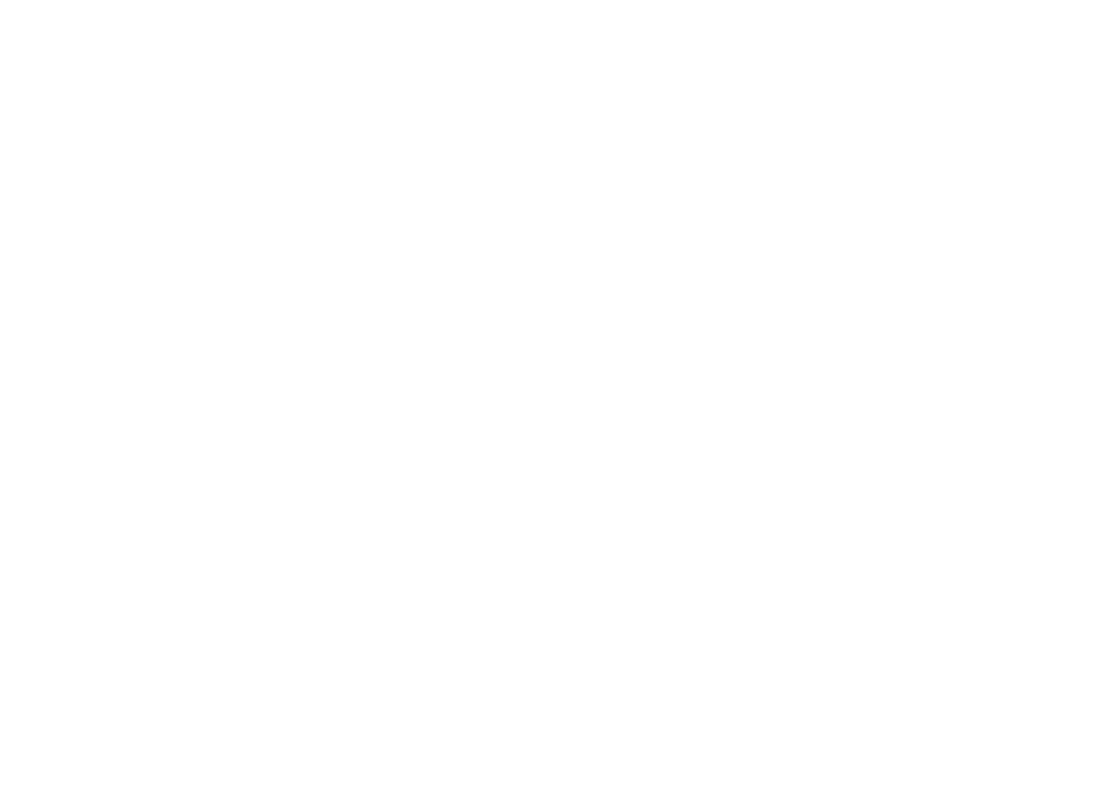Vizio